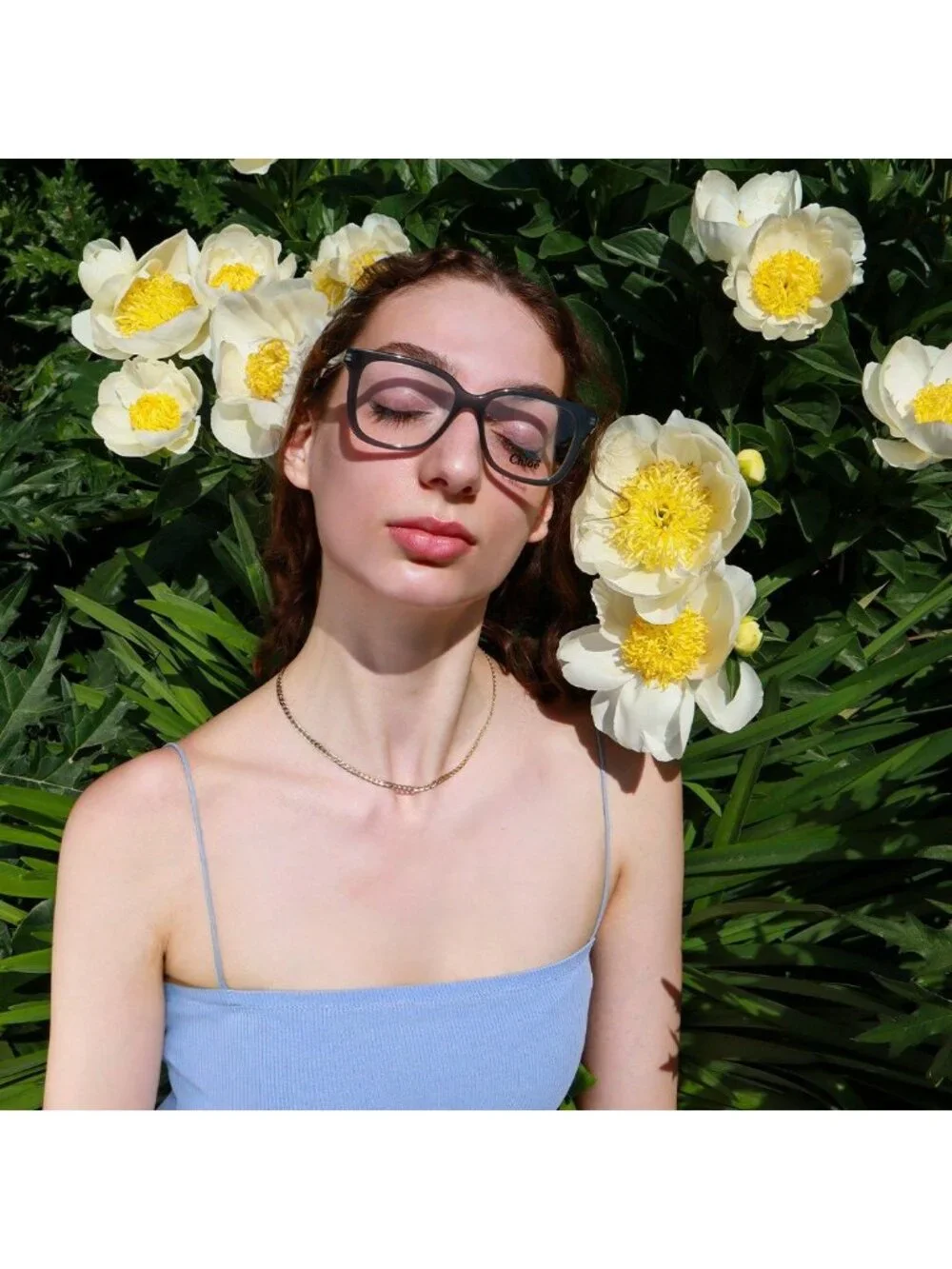 Chloe CH0090O 006 Square Eyeglasses 52mm - Havana